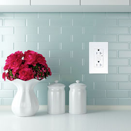 LD -U001 4.2A Smart High Speed USB Charger Outlet 2 portas USB com 2 placas de parede