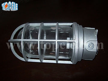 100W 220V Cinza Cinza IP65 Luzes à prova de vapor Die - Alumínio fundido